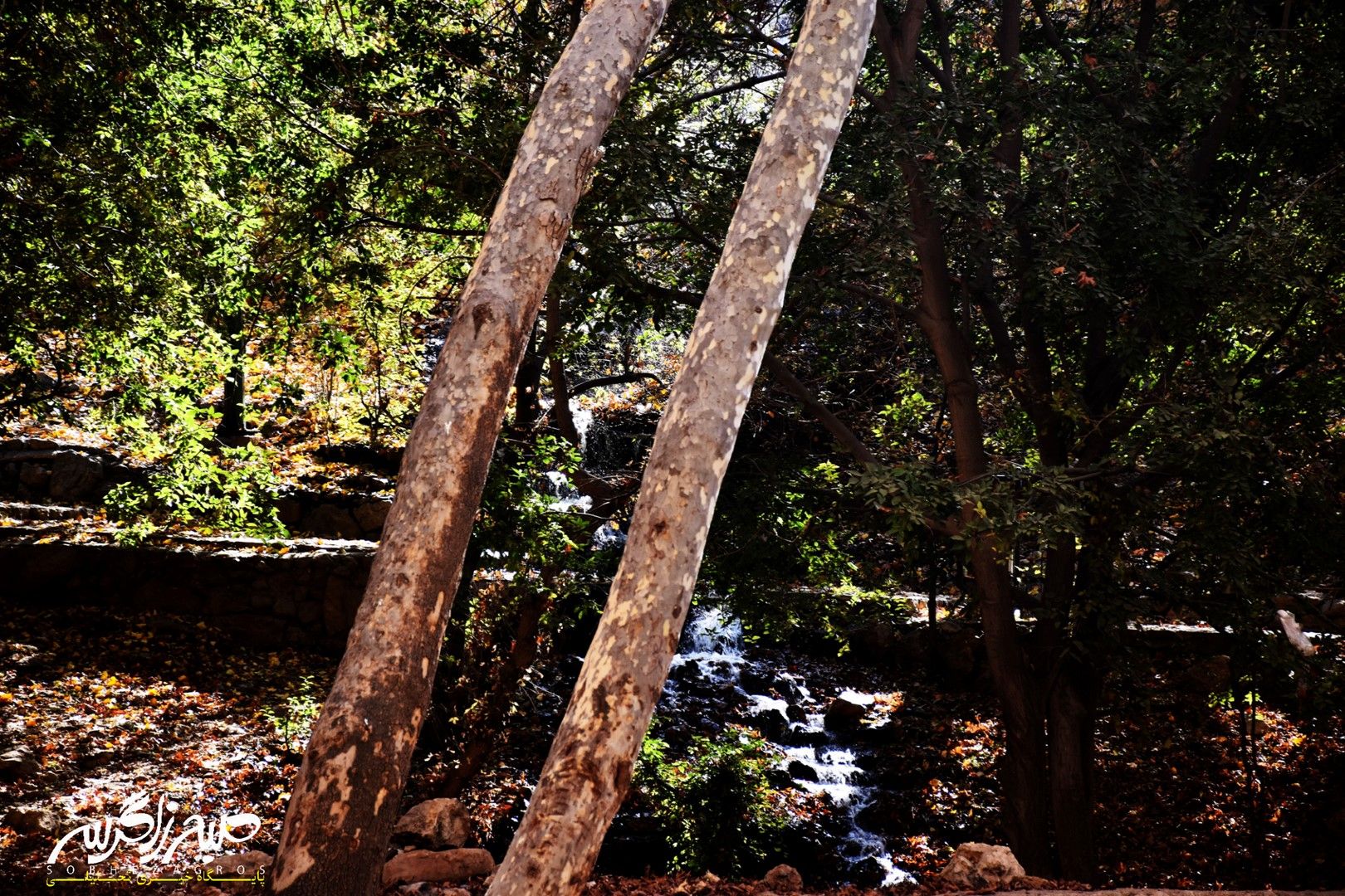 طبیعت قلم زد؛ یاسوج، بوم نقاشی پاییز