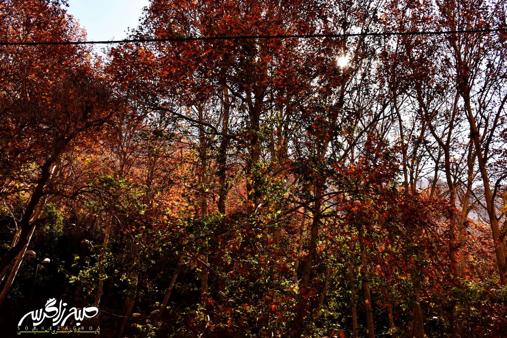 طبیعت قلم زد؛ یاسوج، بوم نقاشی پاییز