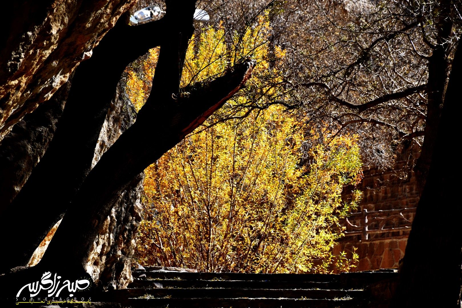 طبیعت قلم زد؛ یاسوج، بوم نقاشی پاییز