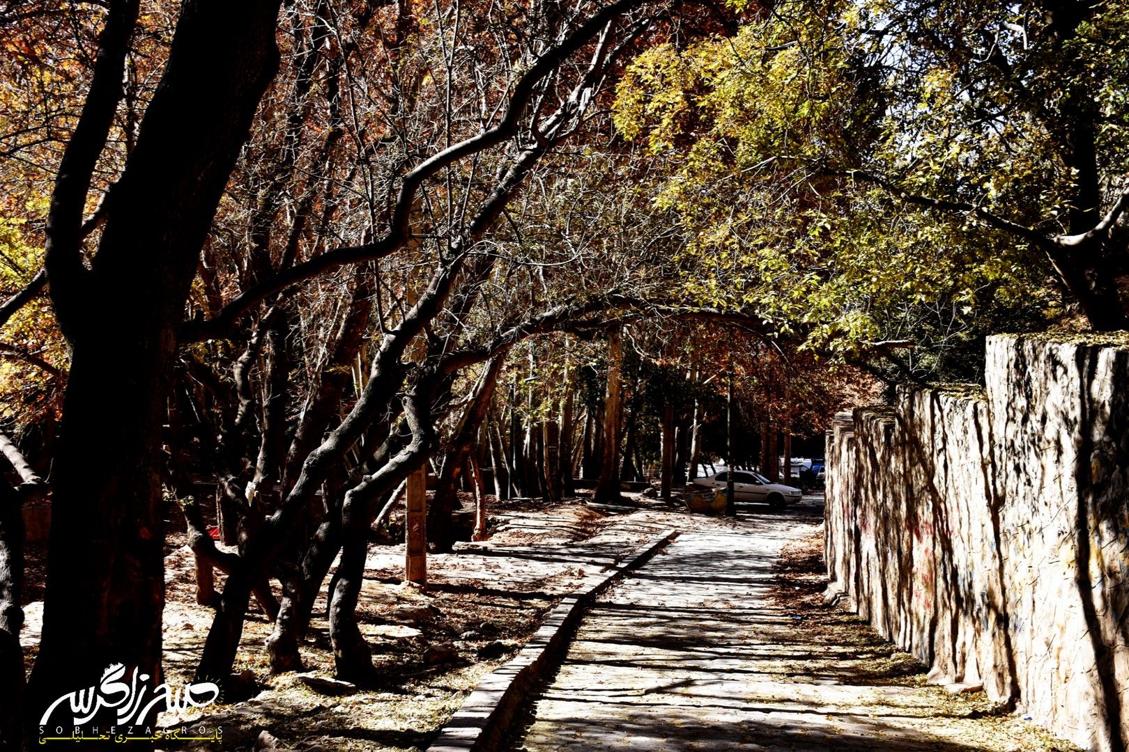 طبیعت قلم زد؛ یاسوج، بوم نقاشی پاییز