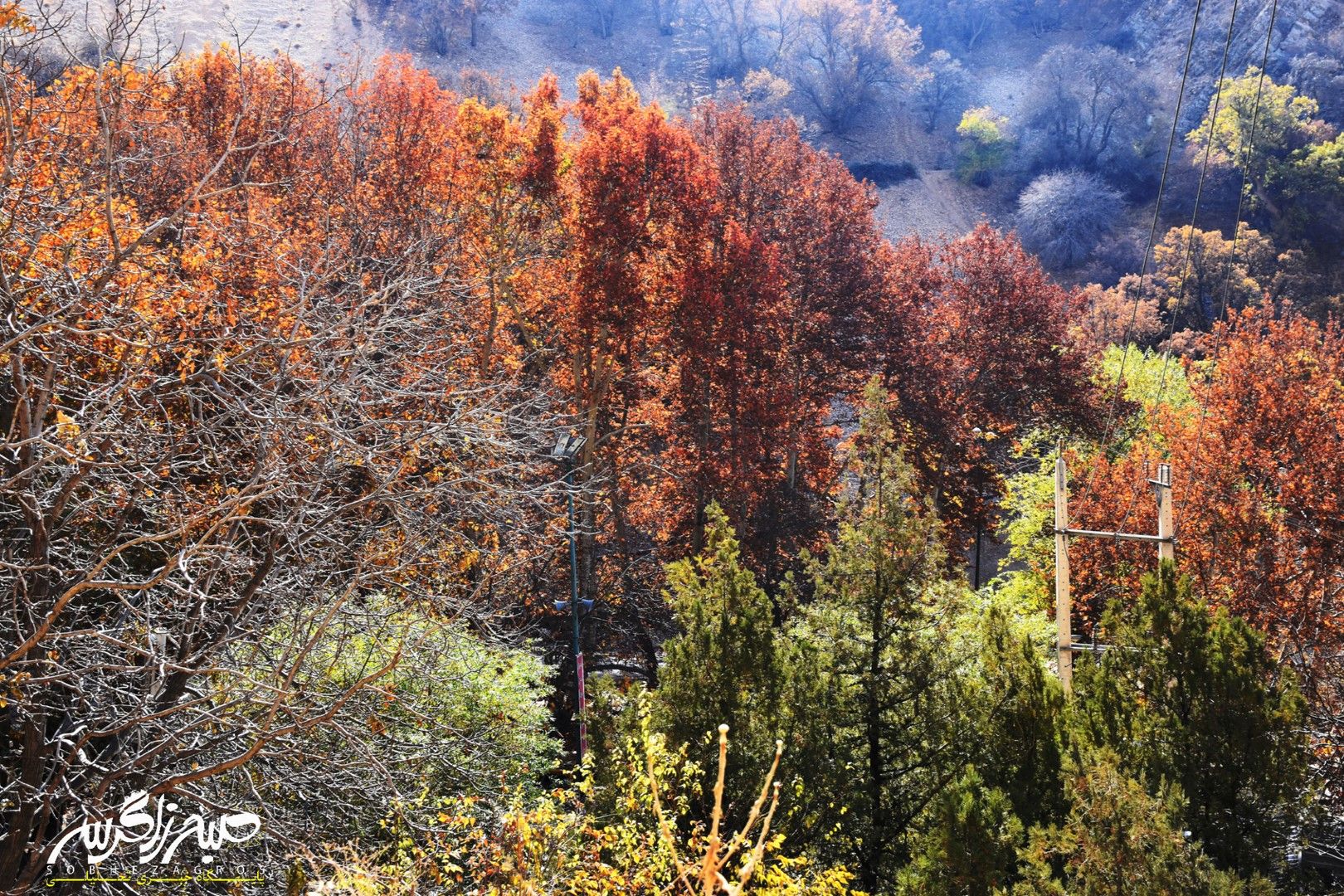 طبیعت قلم زد؛ یاسوج، بوم نقاشی پاییز