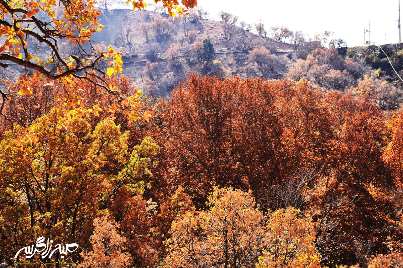 طبیعت قلم زد؛ یاسوج، بوم نقاشی پاییز