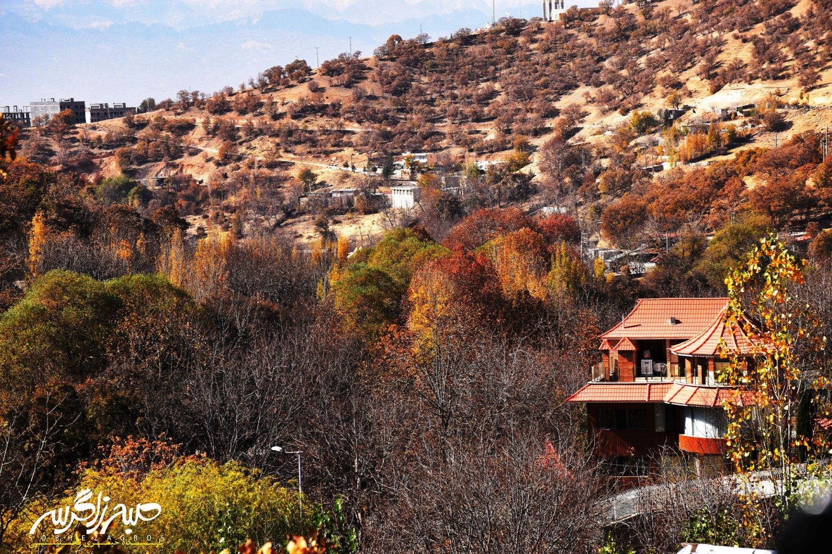 طبیعت قلم زد؛ یاسوج، بوم نقاشی پاییز