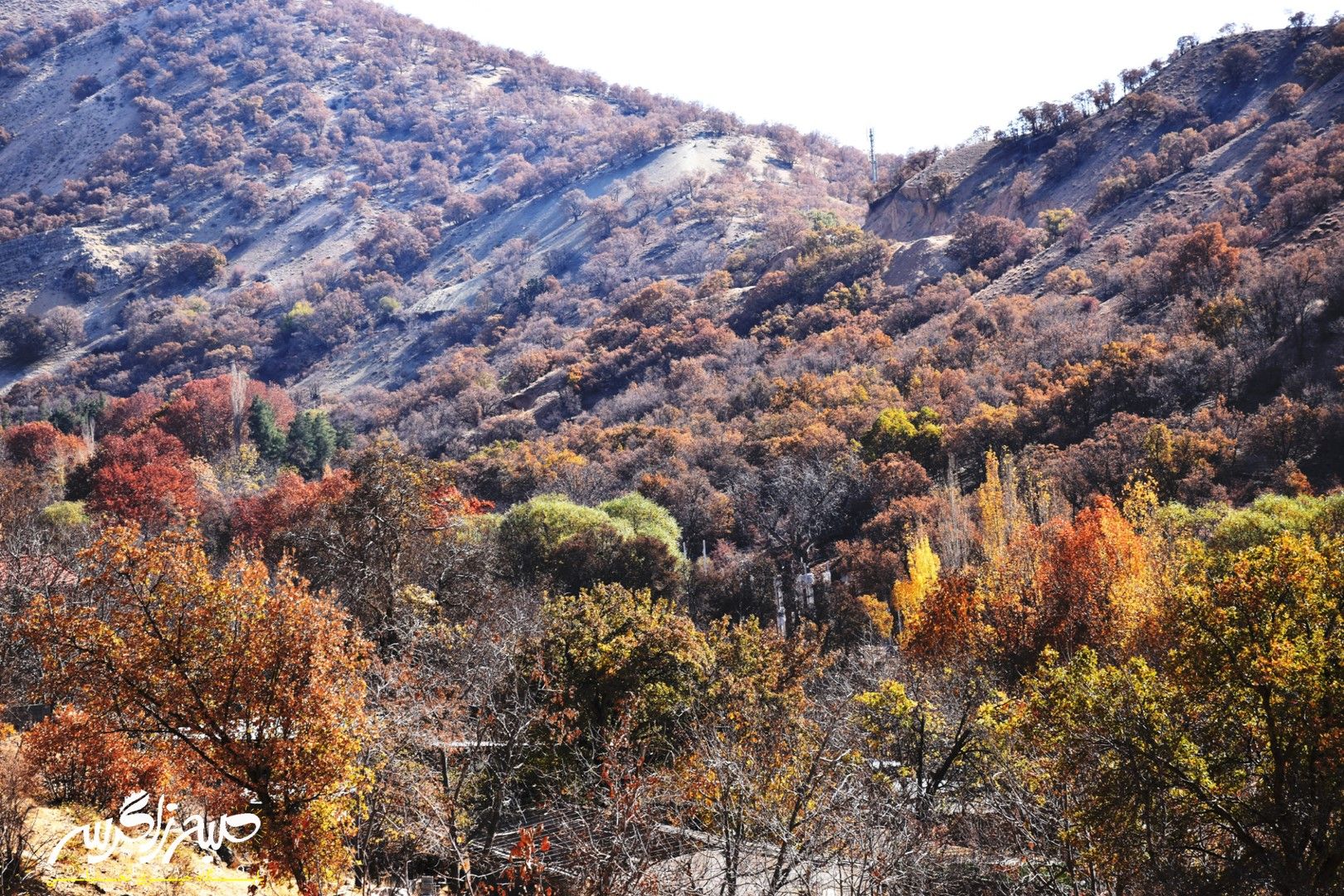 طبیعت قلم زد؛ یاسوج، بوم نقاشی پاییز