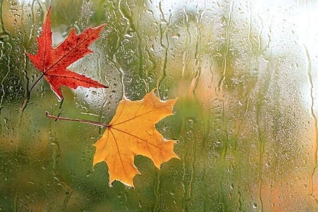 زاگرس در اشتیاق قطره‌ای باران