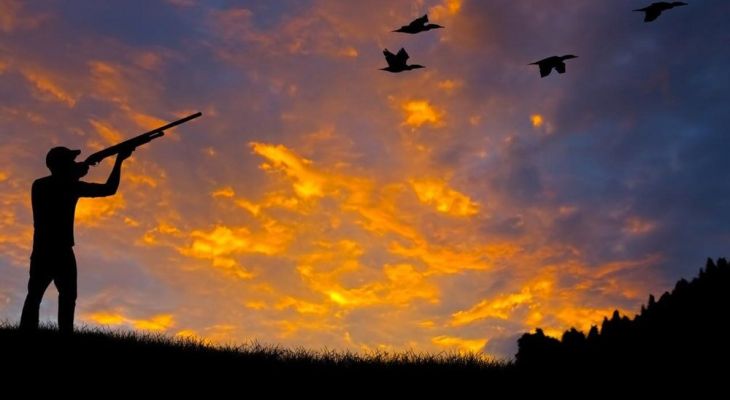 شناسایی شکارچیان در پناهگاه حیات وحش دنا