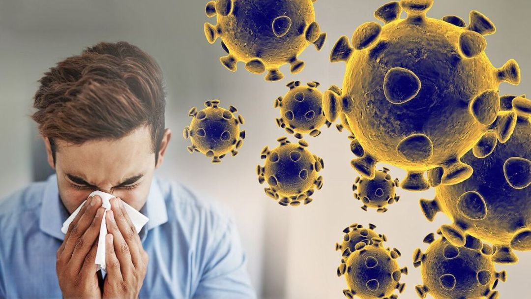 موج H3N2 استان را فرا گرفت