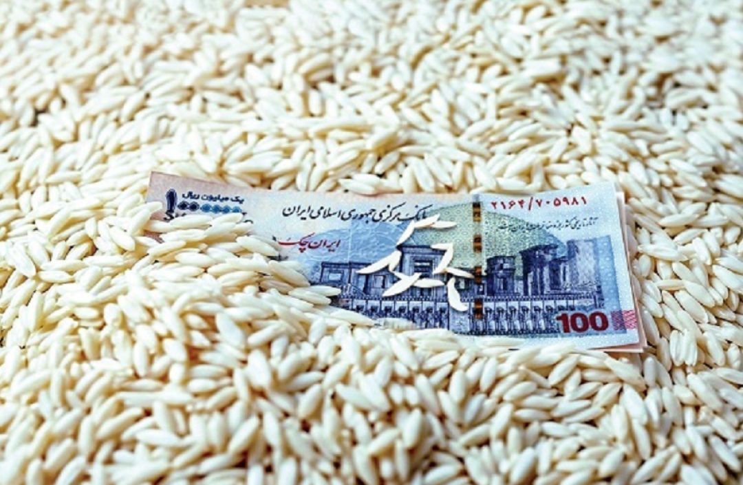 گرداب کمیابی و گرانی برنج؛ وعده توزیع مصوب