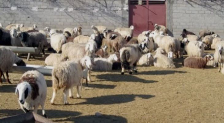 پایان یک روستا، آغاز یک شهر؟سرگذشت بوستان