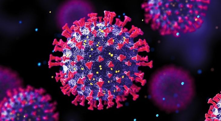 بلاتکلیفی دانشجویان غیربومی با تعطیلات آنفلوآنزایی در کهگیلویه‌وبویراحمد