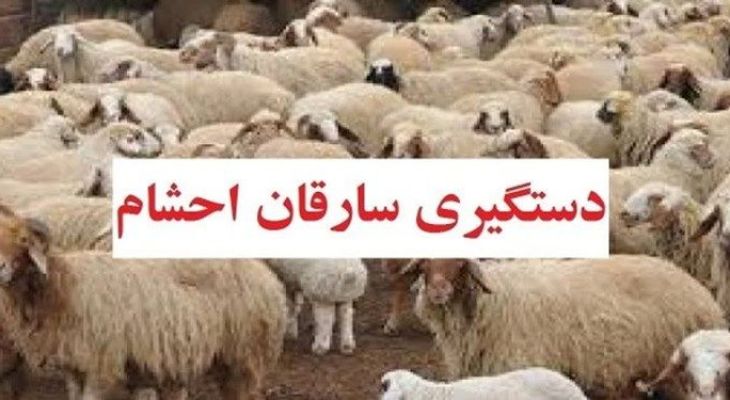 پایان کار سارق با سابقه احشام در چرام