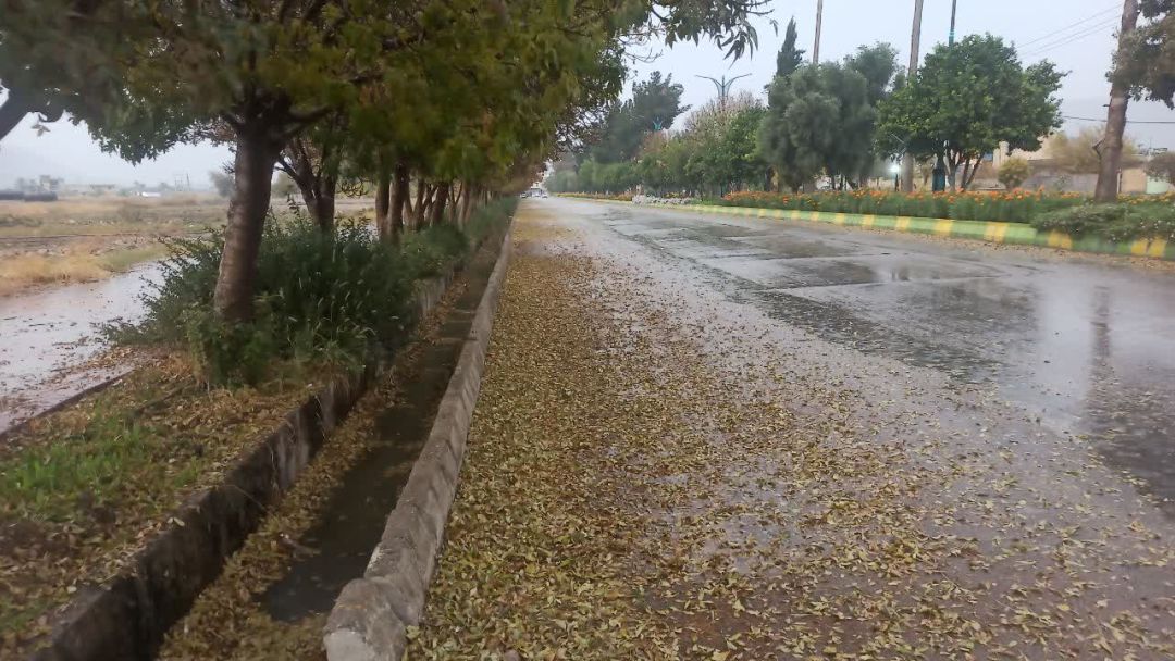 بارش اولین دانه‌های رحمت در باشت