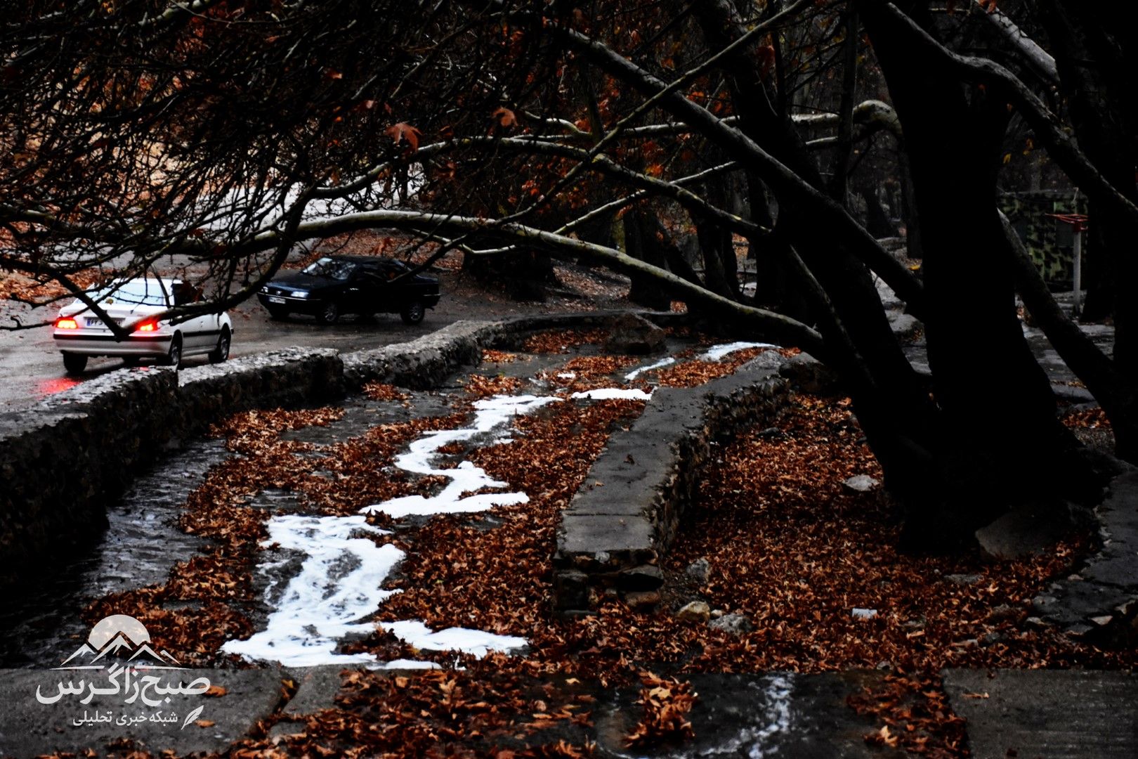 طراوت باران بر دامان پایتخت طبیعت ایران