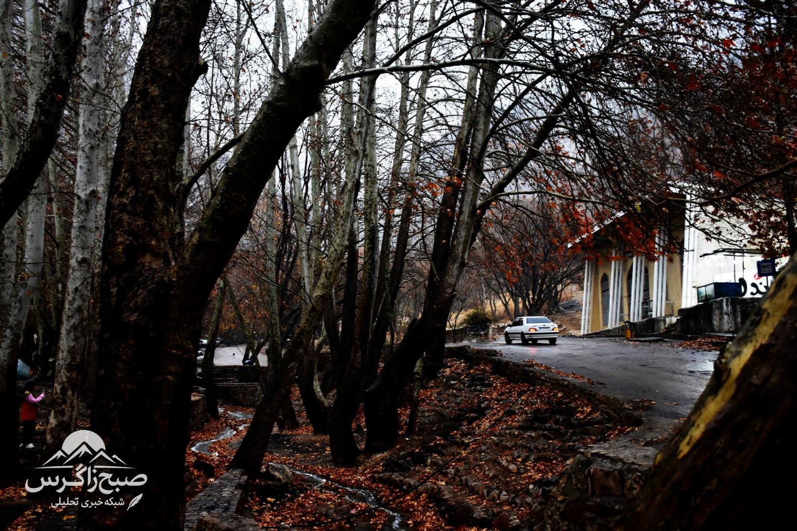 طراوت باران بر دامان پایتخت طبیعت ایران