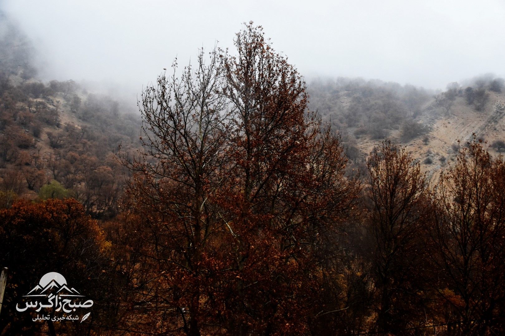 طراوت باران بر دامان پایتخت طبیعت ایران