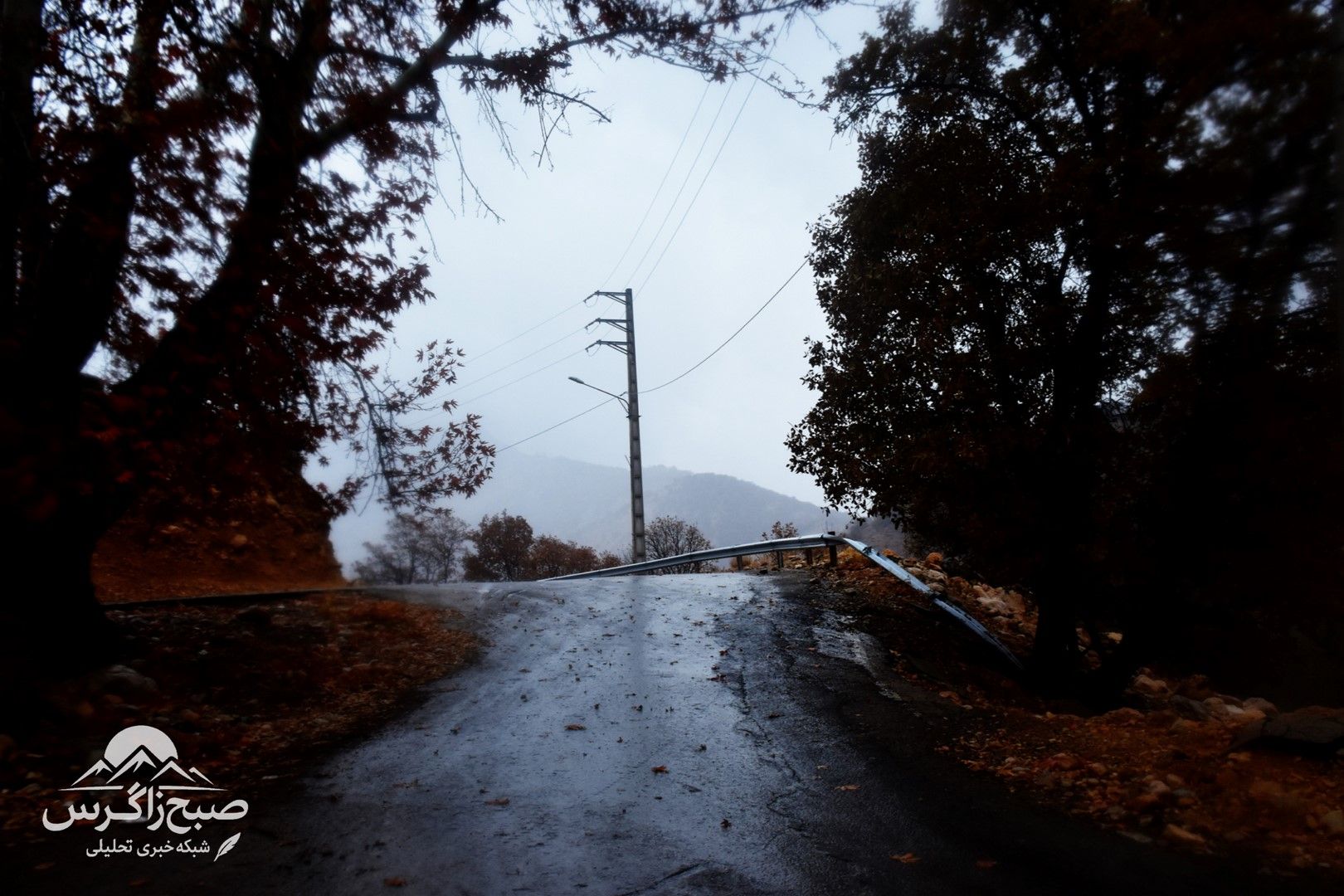 طراوت باران بر دامان پایتخت طبیعت ایران