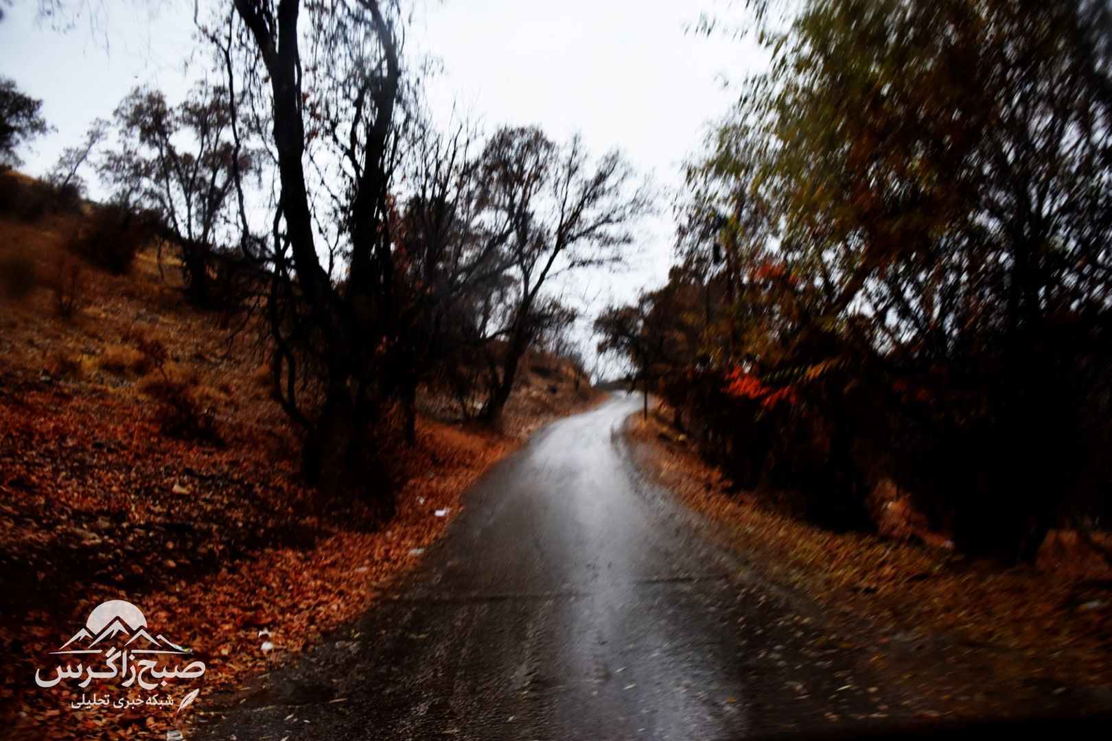 طراوت باران بر دامان پایتخت طبیعت ایران