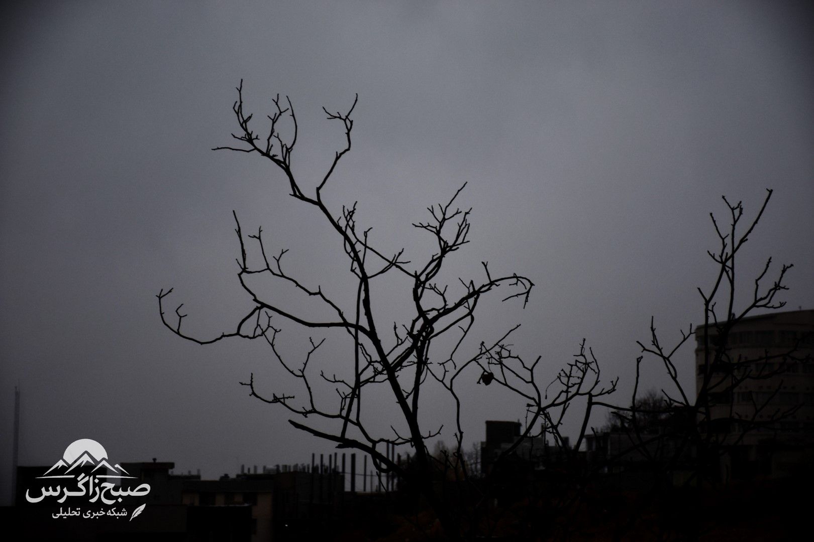 طراوت باران بر دامان پایتخت طبیعت ایران