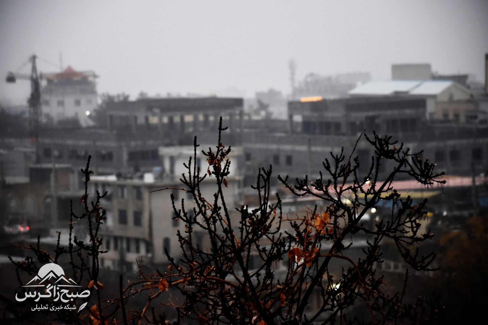 طراوت باران بر دامان پایتخت طبیعت ایران