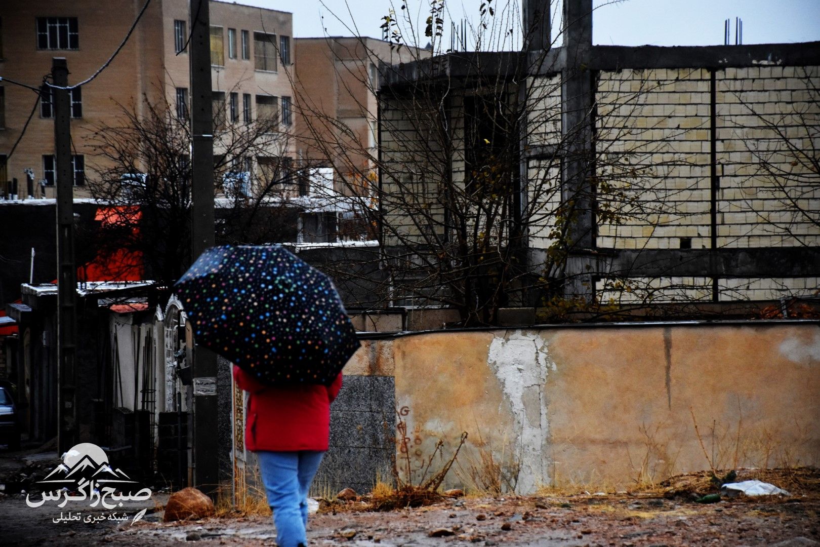 طراوت باران بر دامان پایتخت طبیعت ایران