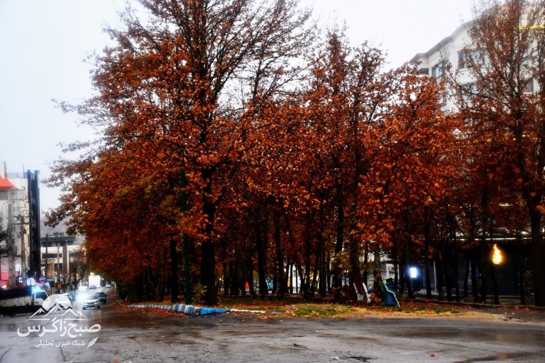 طراوت باران بر دامان پایتخت طبیعت ایران