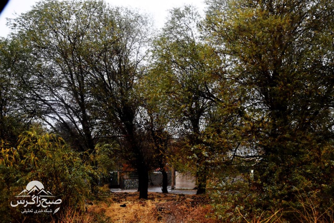 طراوت باران بر دامان پایتخت طبیعت ایران