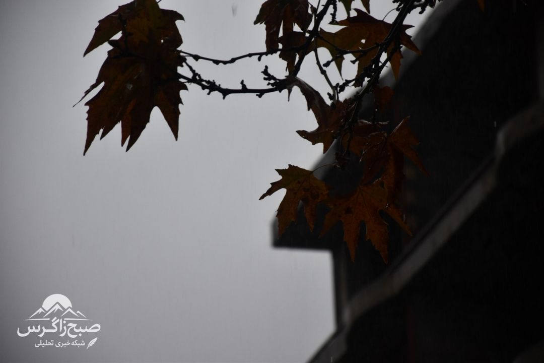 طراوت باران بر دامان پایتخت طبیعت ایران