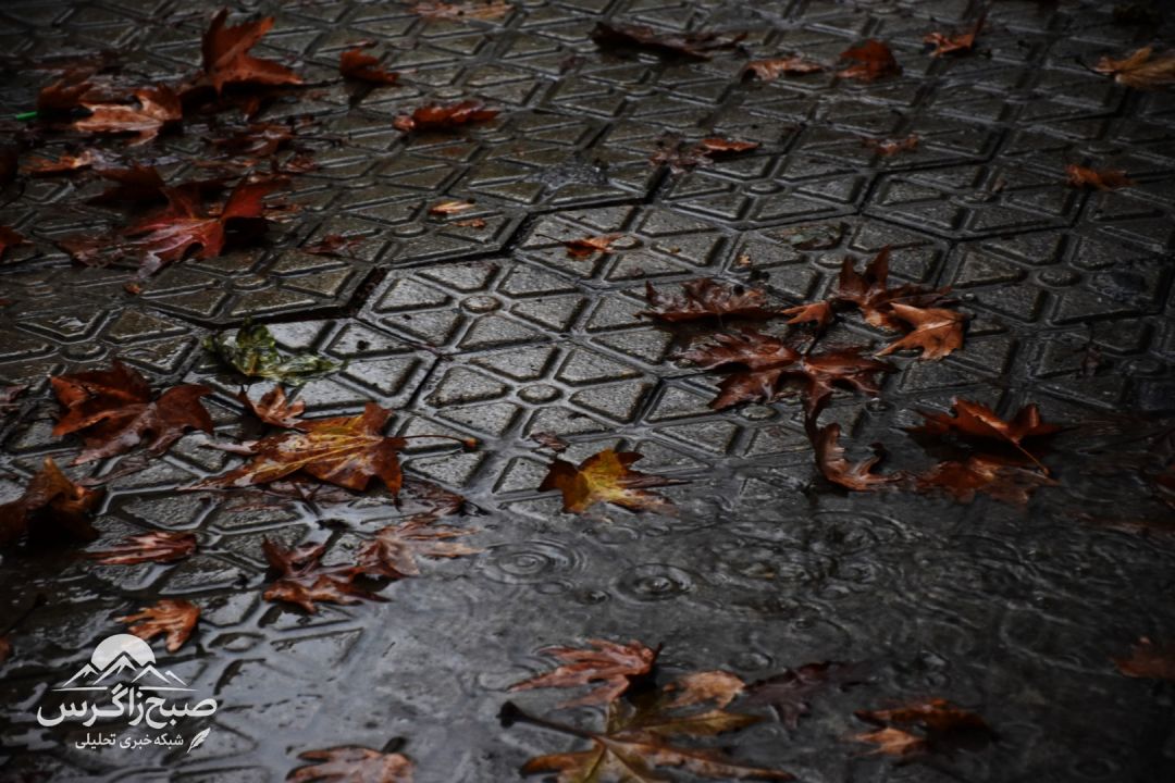 طراوت باران بر دامان پایتخت طبیعت ایران