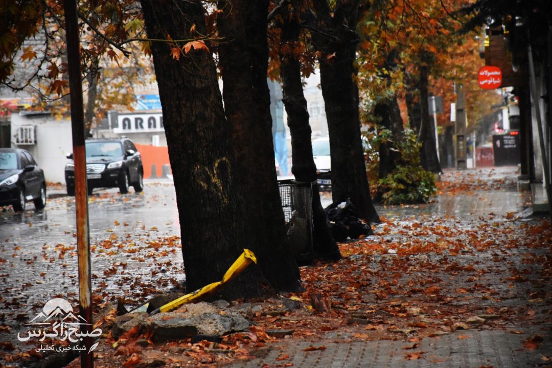 طراوت باران بر دامان پایتخت طبیعت ایران