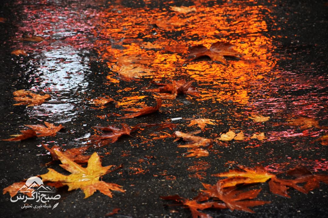 طراوت باران بر دامان پایتخت طبیعت ایران