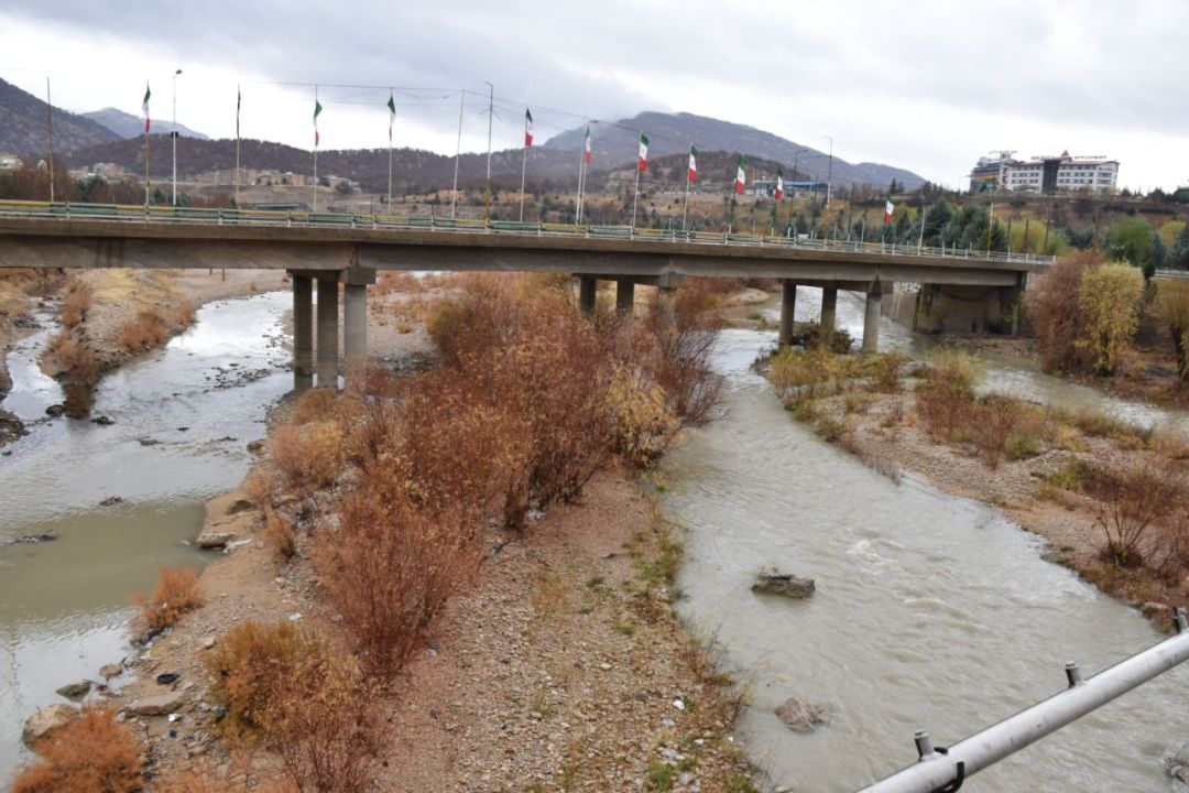 باران، بشار را زنده کرد