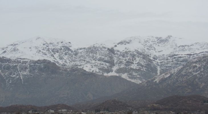 خنده‌های یاسوج، بر گونه‌های برفی دنا