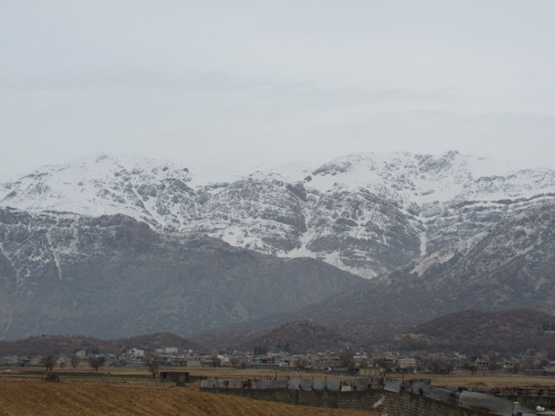 خنده‌های یاسوج، بر گونه‌های برفی دنا