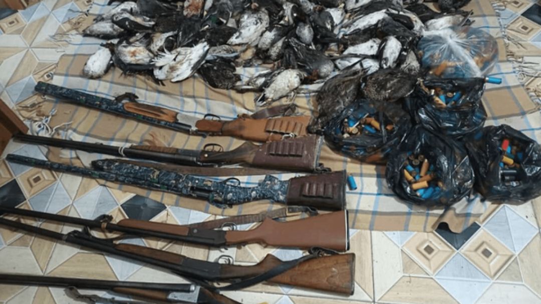 شکارچیان غیرمجاز در چرام به دام افتادند