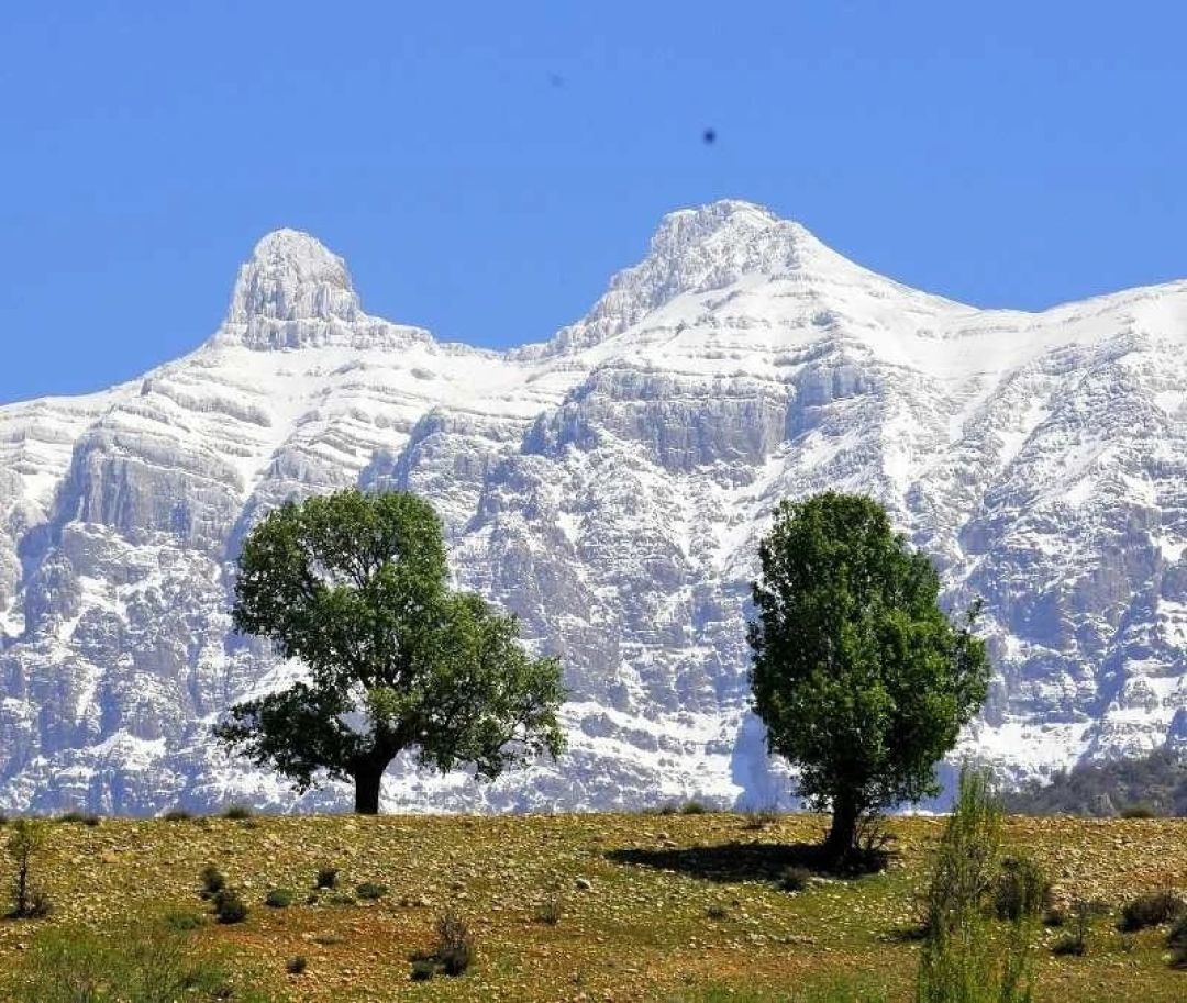 معدن مس «خونگاه»، چاقویی بر قلب دنا