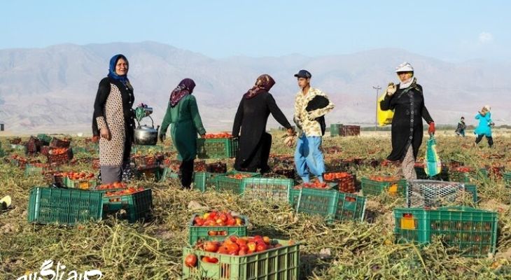 مسئولین! اشک این مادران را ببینید