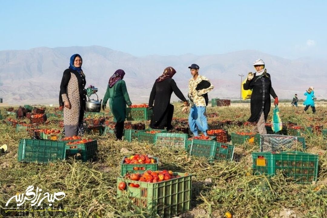 مسئولین! اشک این مادران را ببینید