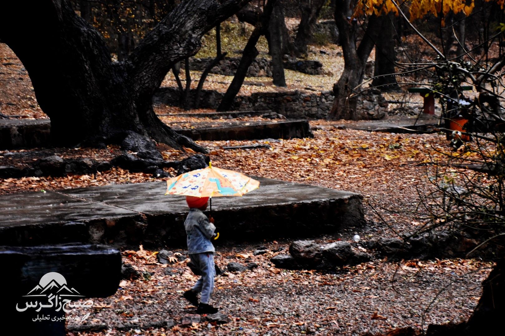 طراوت باران بر دامان پایتخت طبیعت ایران