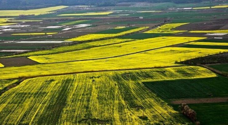 پروژه آب‌رسانی به اراضی تنگ انگشترک و آبرزی گچساران+ تصاویر