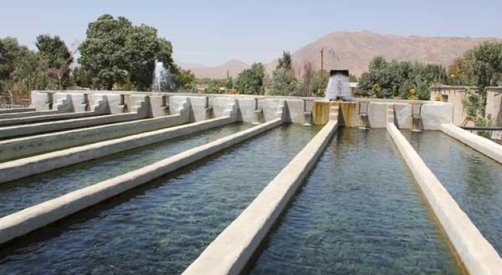 لنده قطب تولید ماهی می شود