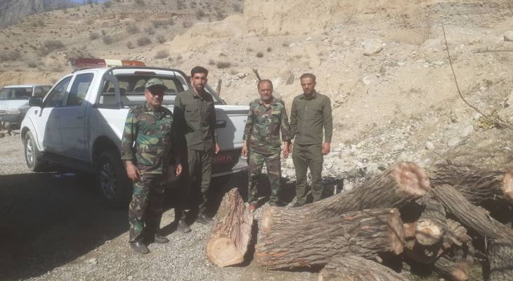 دستگیری عامل قطع درختان حاشیه رودخانه بشار