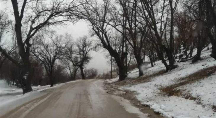 خواب‌هایی که برای پارک جنگلی دیده‌ شد