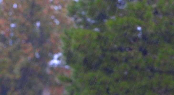 ۱۲۱میلیمتر باران در منطقه تنگ سرخ بویراحمد بارید