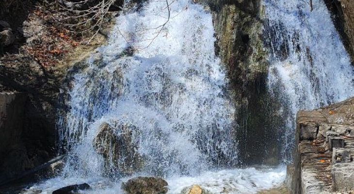 طبیعت بکر وخیره‌کننده بهرام بیگی