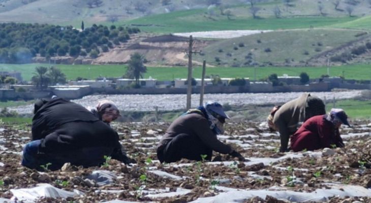 حکایت رنج بی‌پایان کارگران فصلی در باشت