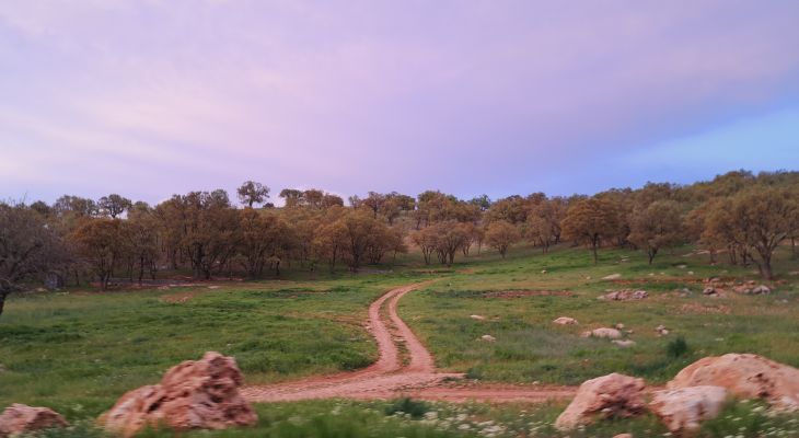منطقه زیبای «کهوا» در شهرستان بویراحمد