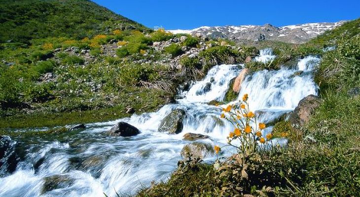 چشمه میشی، پرآب‌ترین و خنک‌ترین چشمه‌ زاگرس