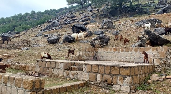 بلاتکلیفی ۱۱ساله فاز اول منطقه گردشگری موگرمون