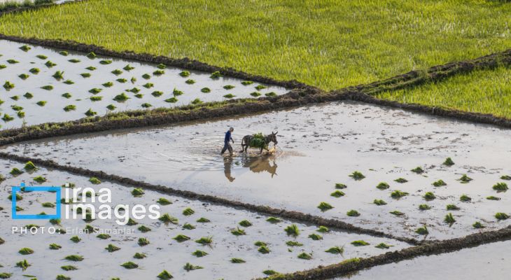 «کارگران»؛ تلاشگران عرصه تولید