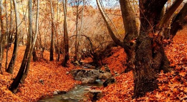 زیبایی وصف‌ناپذیر «تنگ گنجه‌ای»